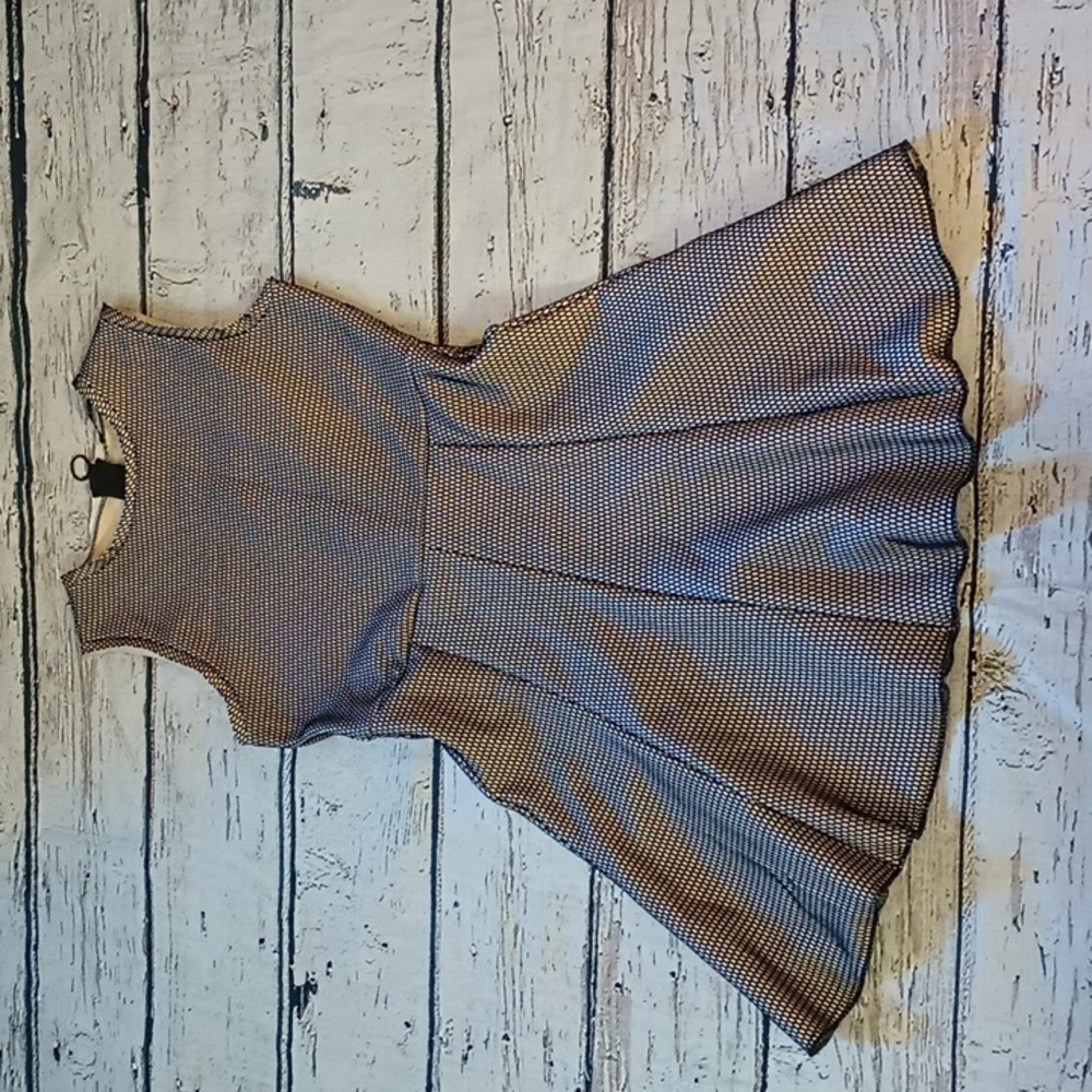Zara Woman Black Tan Mesh Overlay Zipper Back Dress Skater A Line M